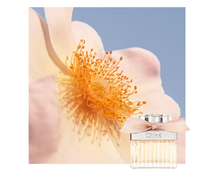 Chloe Miniatures 4x 5ml - Chloe Fragrance Set